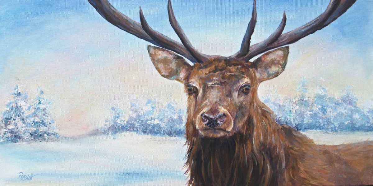 Snow Deer by Ruth  Aslett