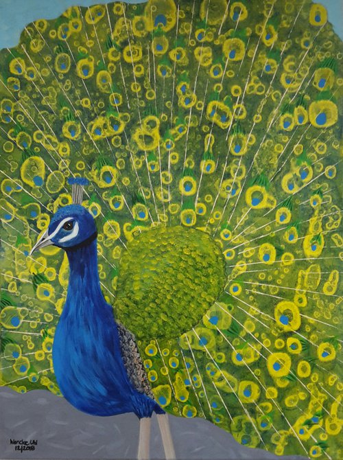 Peacock by Wencke Uhl
