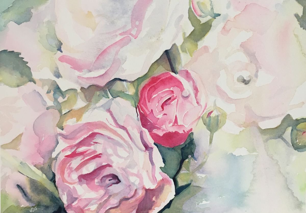 Rose Garden by Sarah Stowe