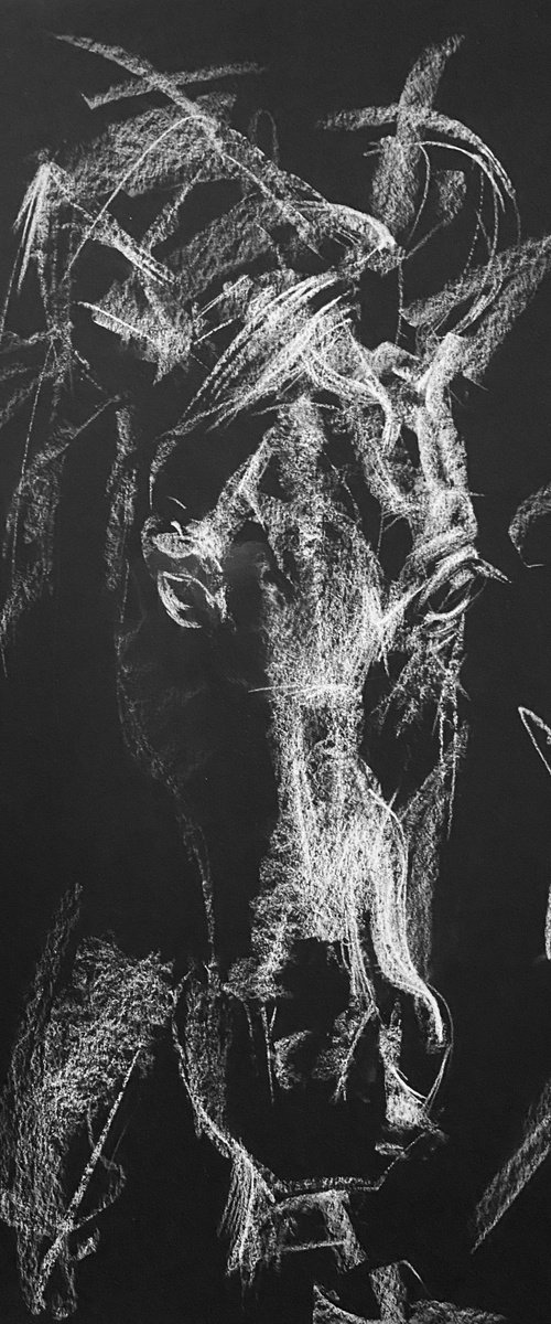 Horse's head III by Olga Bolgar