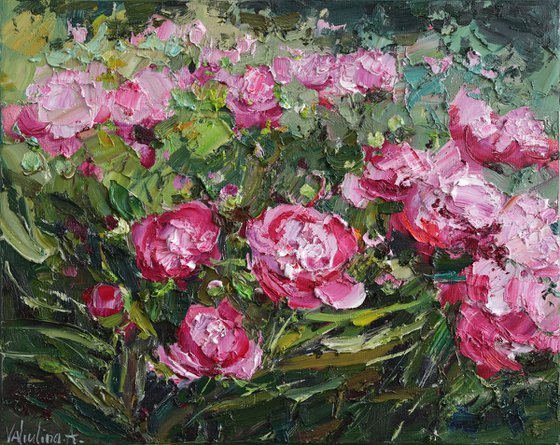 Peonies