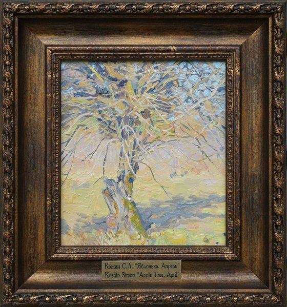Apple tree. April