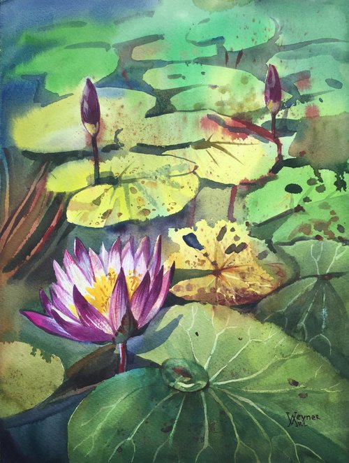 Lotus. Water lily. Painting of flowers by Natalia Veyner