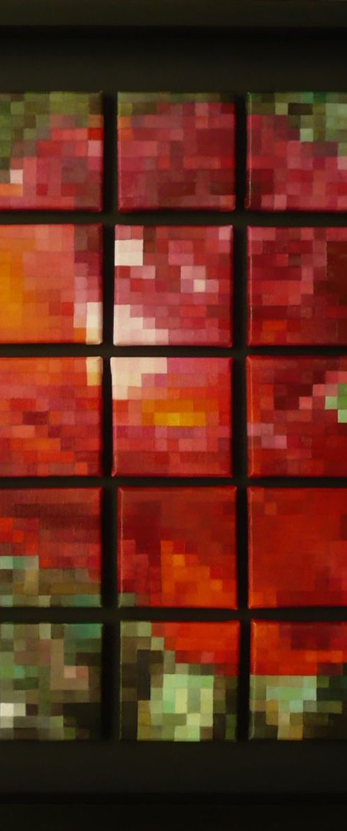 Rosa Pixel by Arturo Garcia de las Heras (Agheras73)