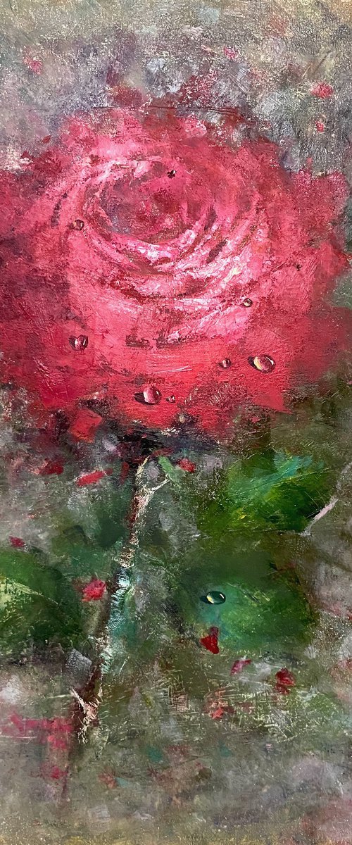 Red blooming rose by Yulia Odukalets