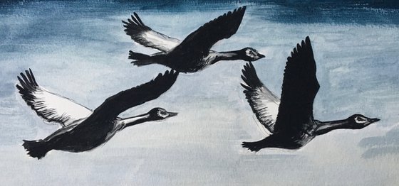 Geese Flying Home before the Storm