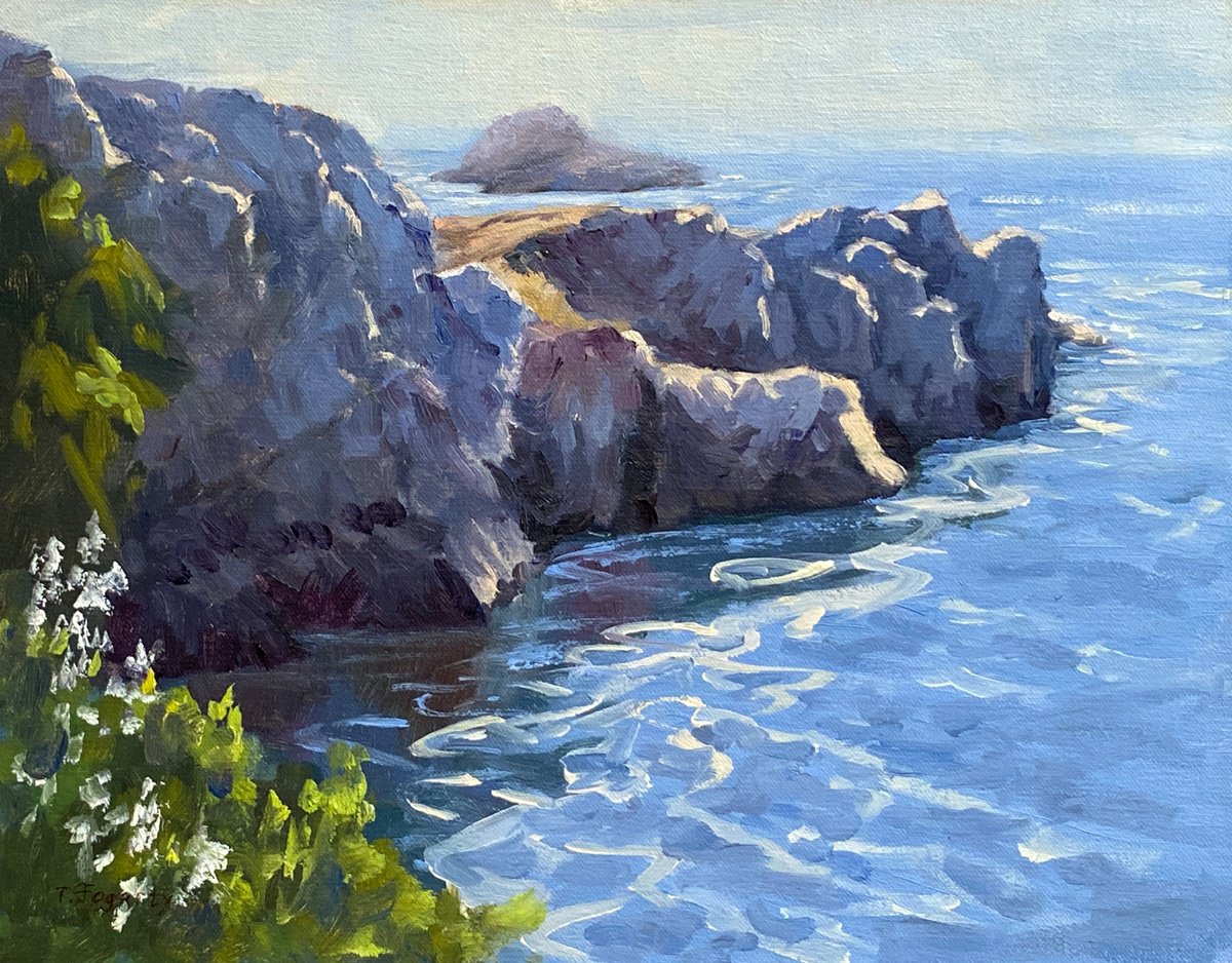 Ocean Cliffs And Coves by Tatyana Fogarty