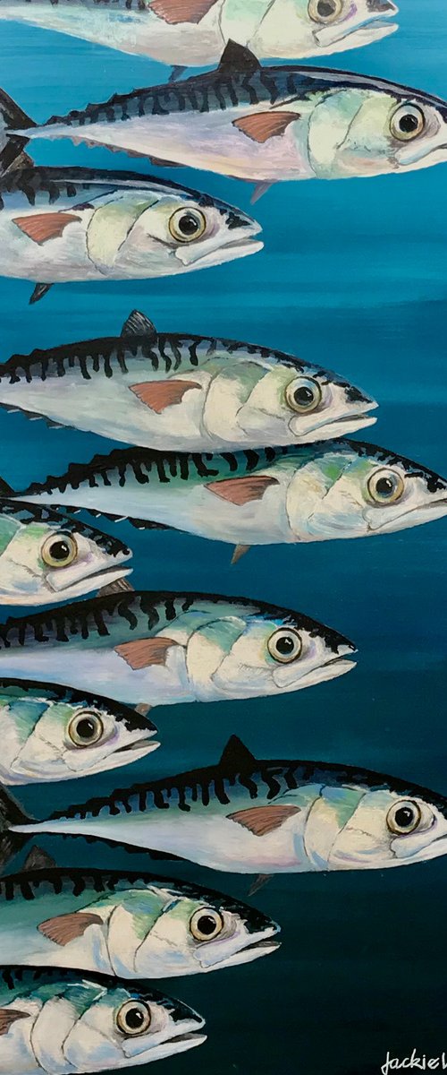 Front Runners by Jackie Ward