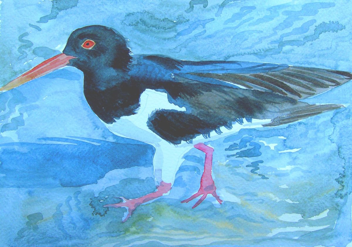 Oystercatcher bird watercolour painting by Mary Stubberfield