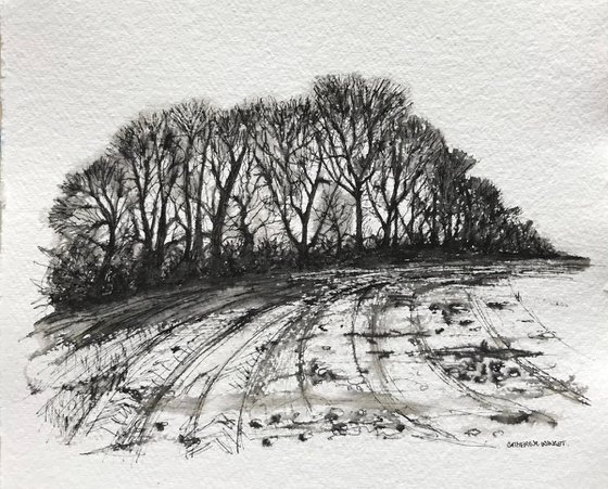Winter Trees in Pen and Ink - Flitcham Norfolk Landscape