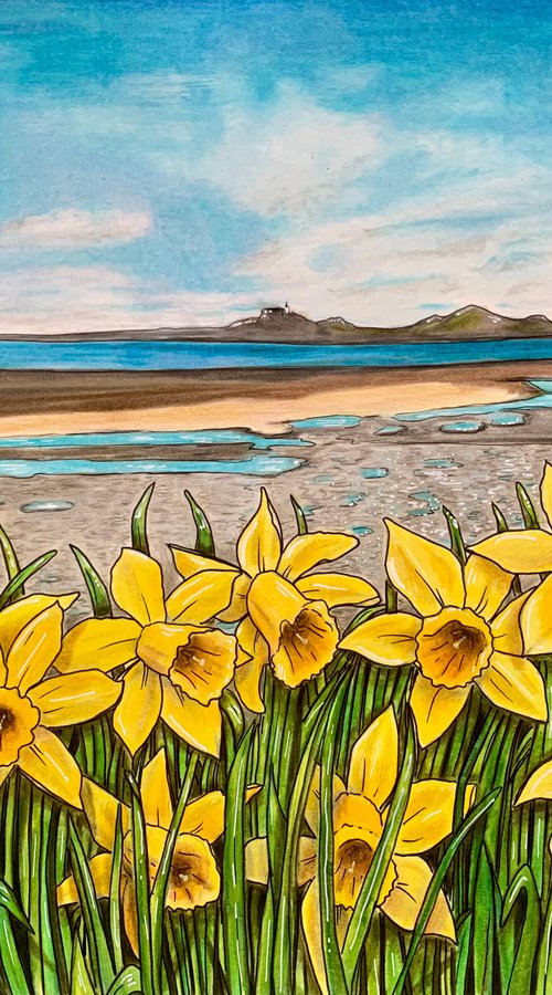 Spring - looking towards Mumbles by Karen Elaine  Evans