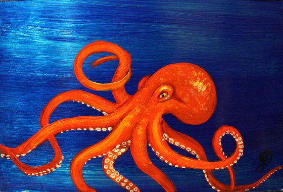 Octopus miniture