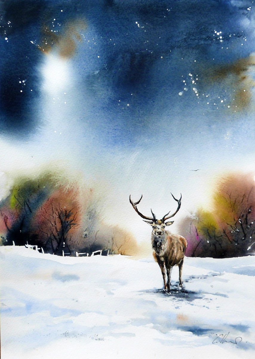 A Stag in Snow. Original watercolour Painting. by Graham Kemp