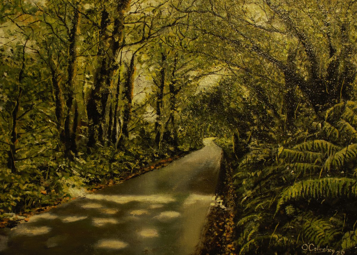 Wooded road by John O