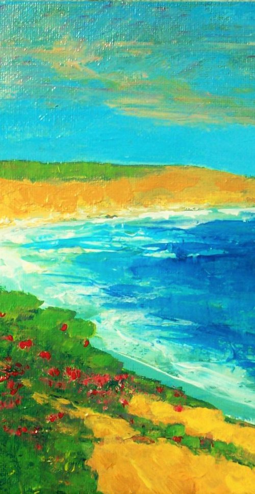 Clifftop Poppies, Windy Bay by David J Edwards