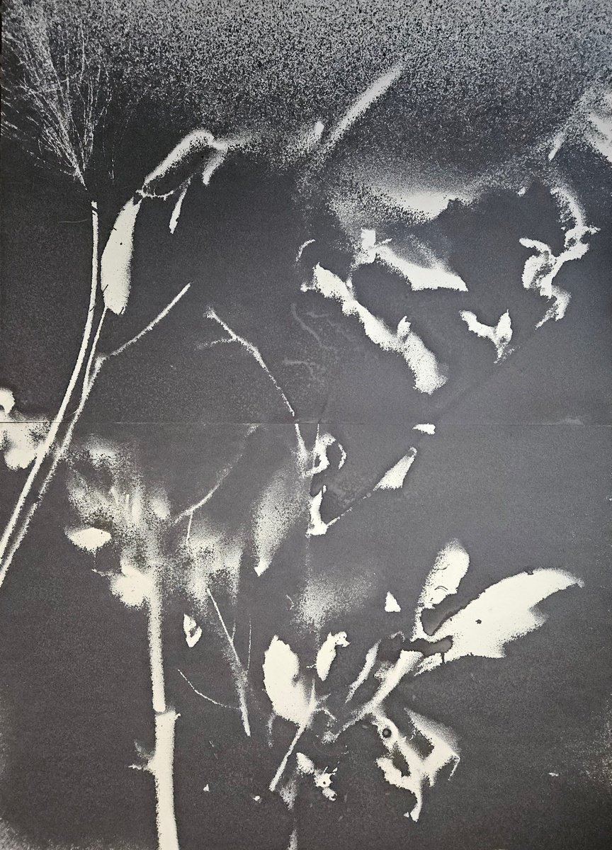 Surrealistic Botanical Acrylic Painting By Stefano Mazzolini, 41 X 57", Rf3334, Original Artwork