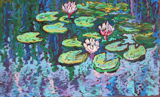 Waterlilies