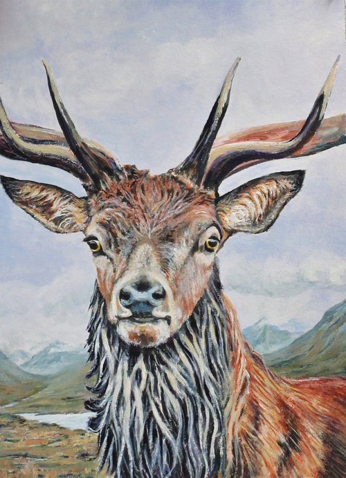 Stag 1 by Max Aitken