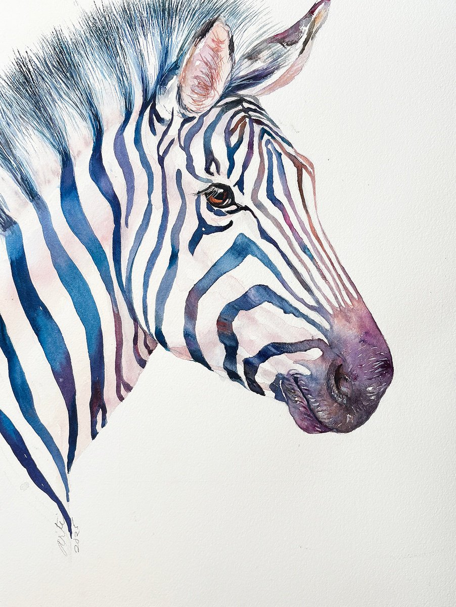 Photorealistic Animal Watercolour By Arti Chauhan, 12 X 16, Blue Bjorn_Zebra, Original Artwork