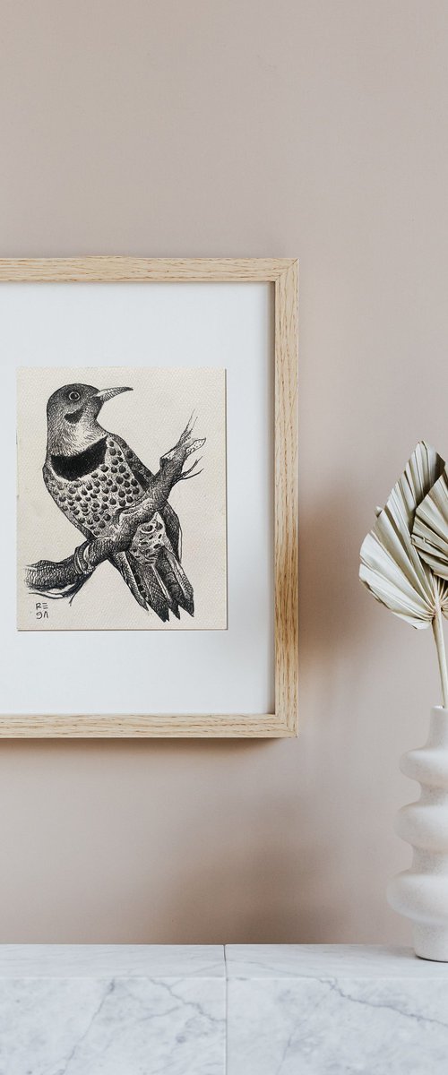 Northern Flicker by Mariana Renteria Garnica