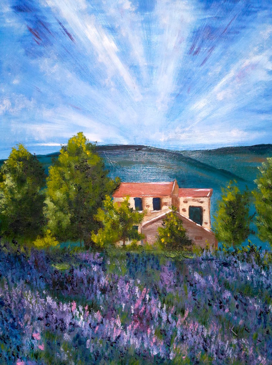 Provence Painting Original Oil Artwork French Lavender Landscape Farm House 12 by 16 by Halyna Kirichenko