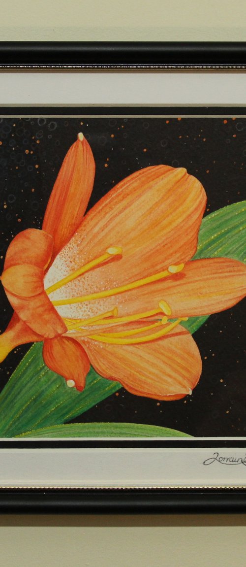 Orange Lily by Lorraine Sadler