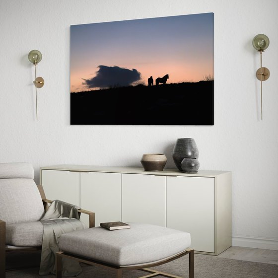 HORSES AT DUSK