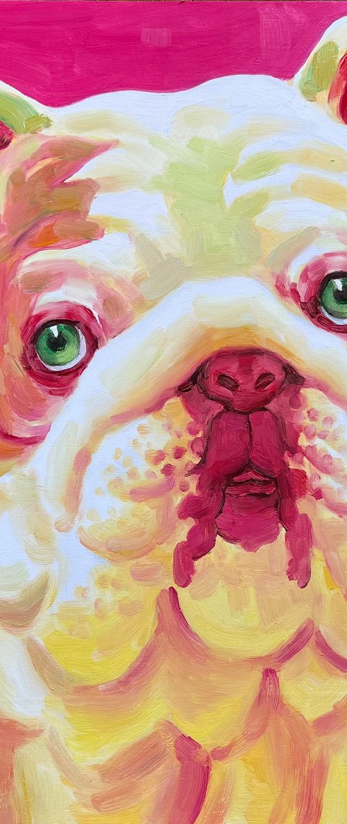 Pop Art — Bulldog in Pink by Dong Lin Zhang