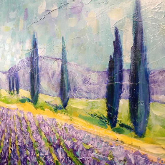 Lavender field - Provence