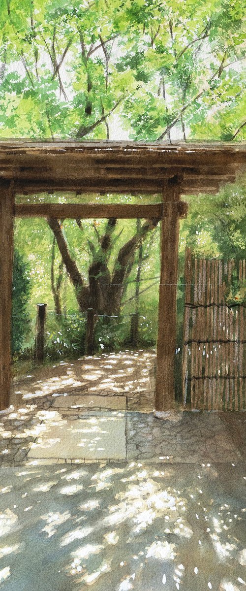 Sunlight Through the Forest Gate by Masato Watanabe