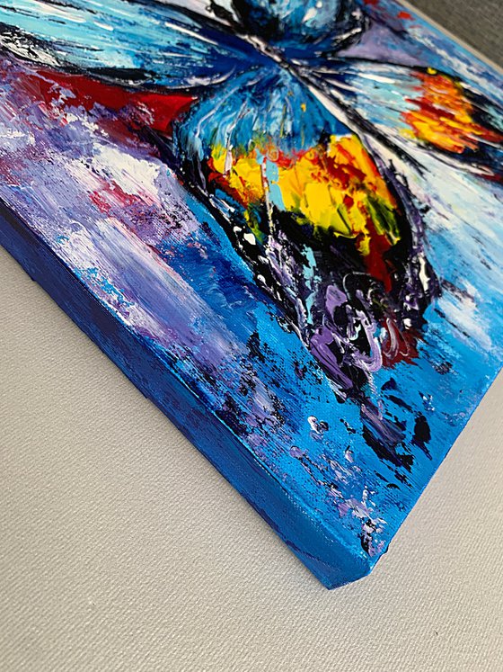 Butterfly Wings Brightness