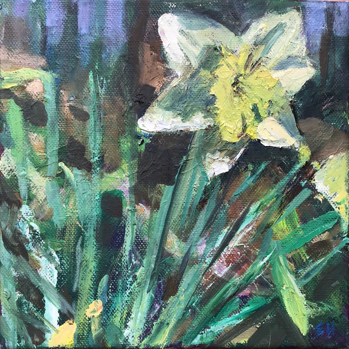 Impressionistic Botanical Oil Painting By Sandra Haney, 8 X 8", Morning Daffs, Original Artwork