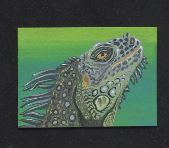 ACEO ATC Original Miniature Painting Green Iguana Lizard  Wildlife Art-Carla Smale