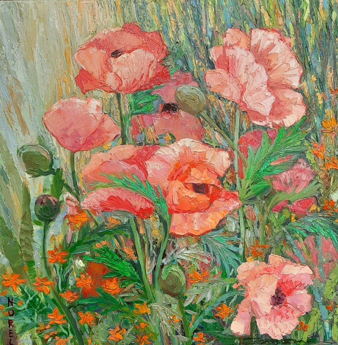 Poppies by Svetlana Norel
