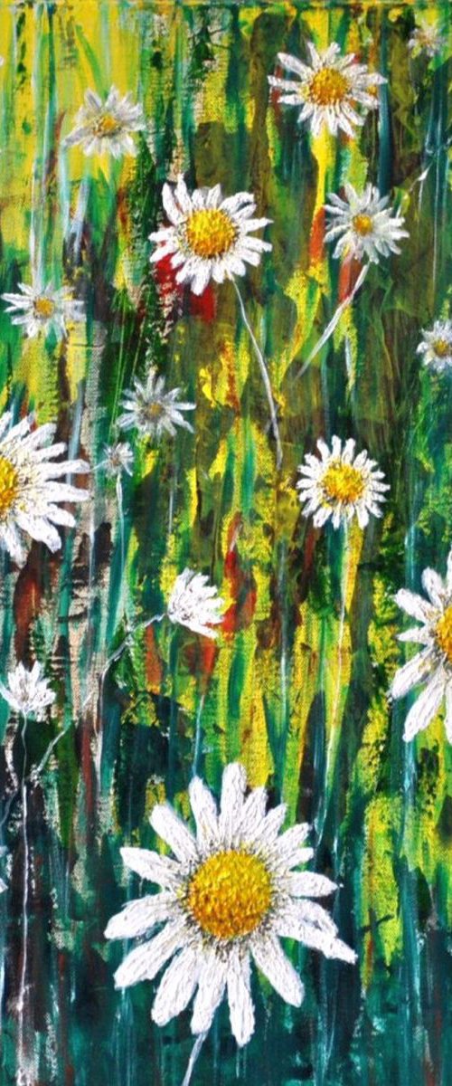 Daisies...1 by Daniel Urbaník