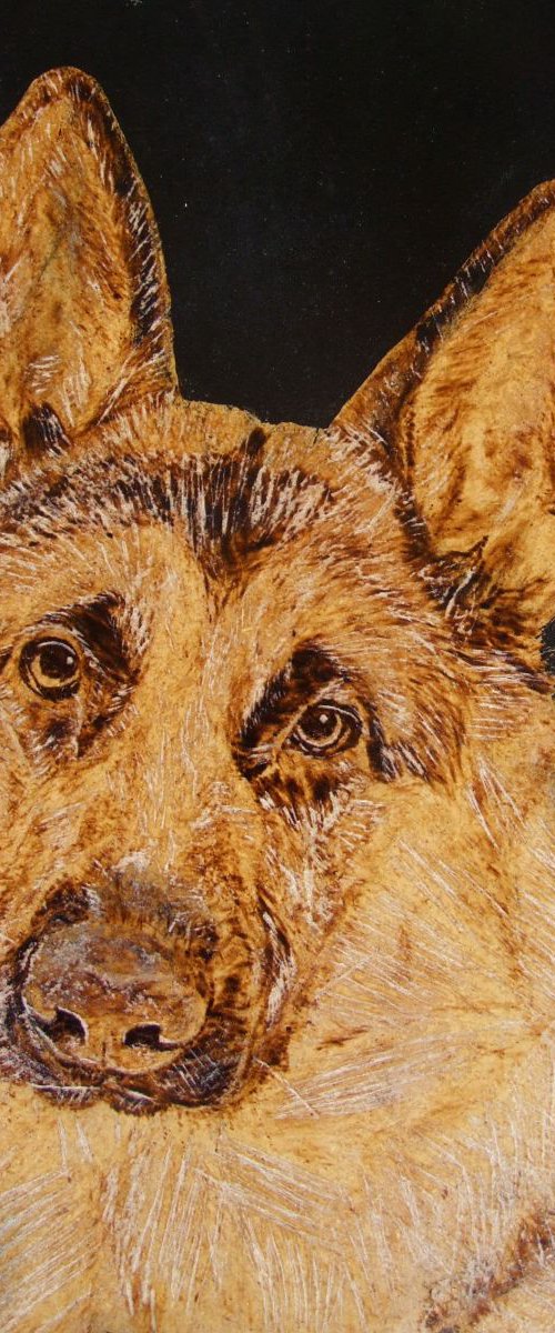 German Shepherd by MILIS Pyrography