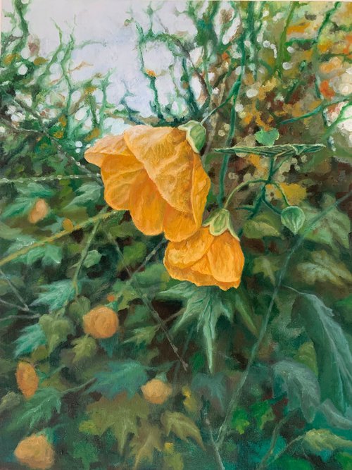 Yellow Flower by Gjergji Rumbullaku