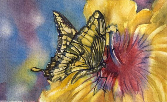 a painting a day #51 "butterfly with hibiscus"