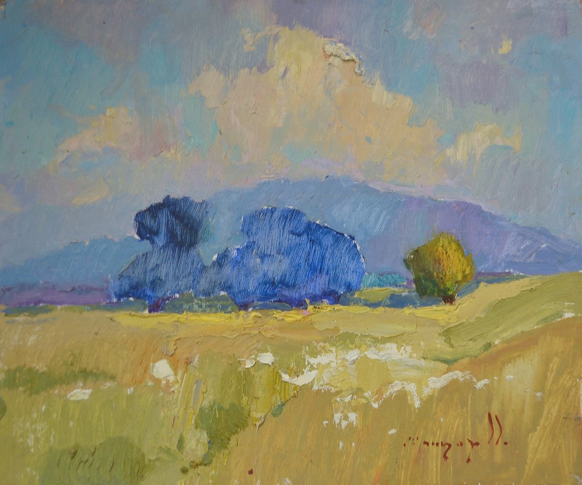 Impressionistic Landscape Oil Painting By Alexander Shandor, 20 X 16, Flowering Field, Original Artwork