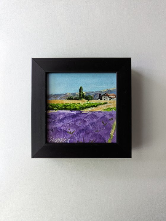 Lavender Fields Scene