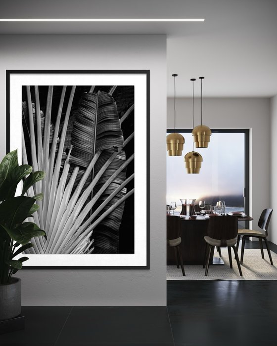 Radiant Frond