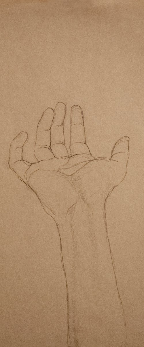 Hand Study IV by Nikola Ivanovic