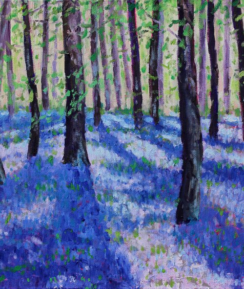 Hazy Bluebells by Zoe Elizabeth Norman