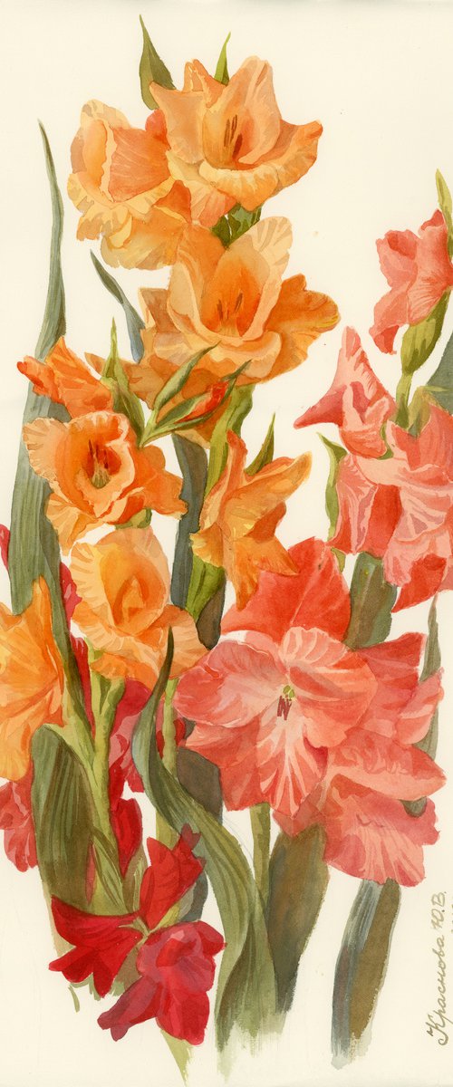 Multicolored gladioli by Yulia Krasnov