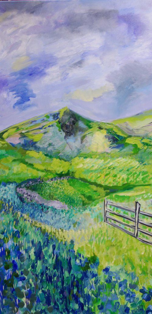 Wensleydale by Lesley Blackburn