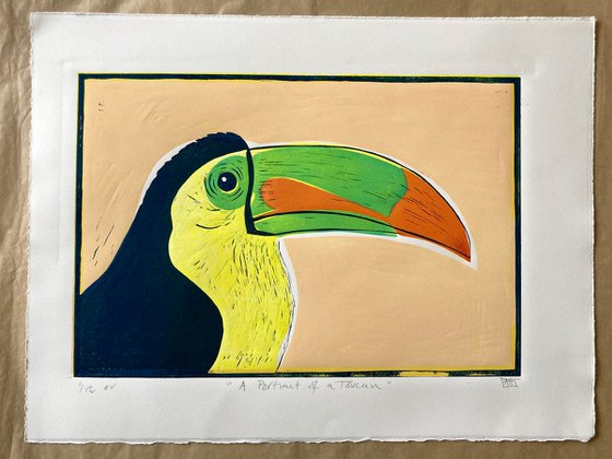 A Portrait of a Toucan