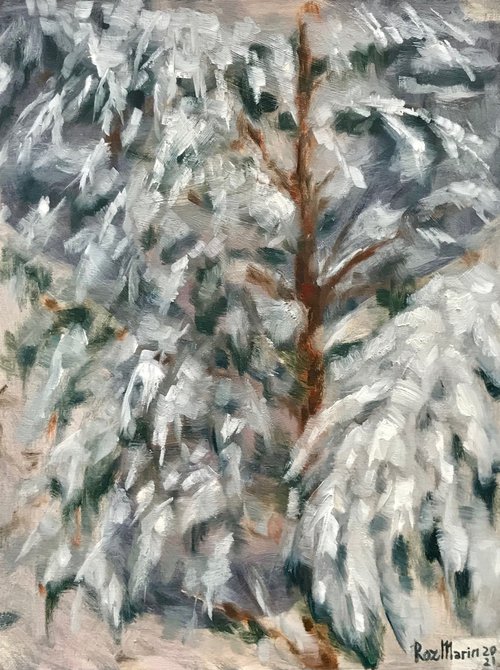 Snow spruce Trees collection by Marina Deryagina