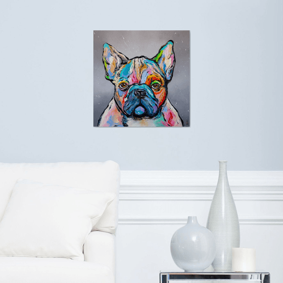 French Bulldog