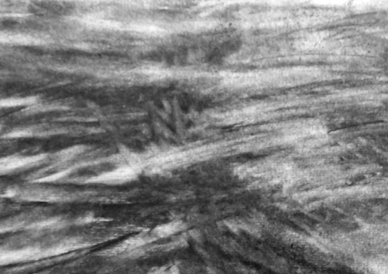 River Flow Patterns