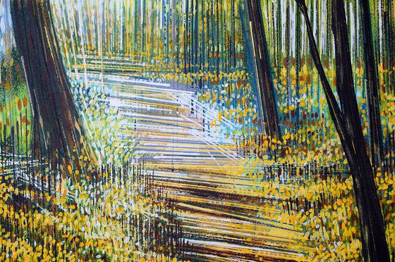 Light Through Autumn Trees